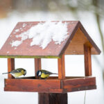 Vogelfutterhaus